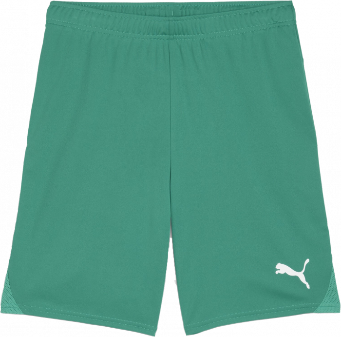 Puma - Teamgoal Shorts Børn - Sport Green